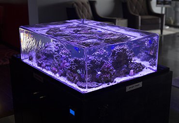 Zero Edge Aquarium